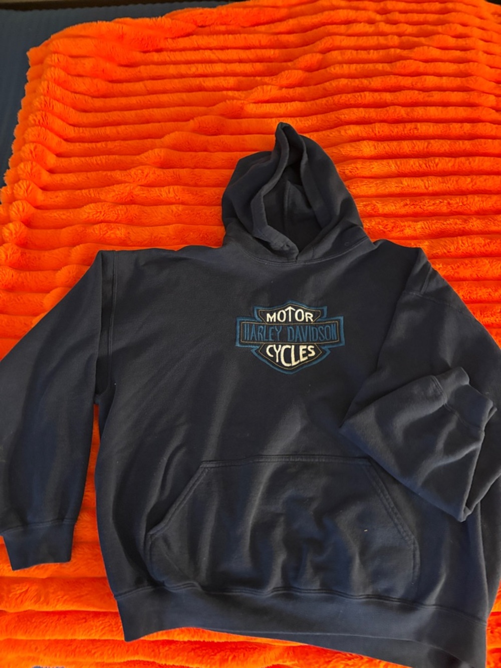 Harley-Davidson Men's Navy Logo Hoodie Sweatshirt